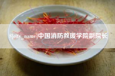 凉山中国消防救援学院副院长
