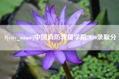凉山中国消防救援学院2020录取分