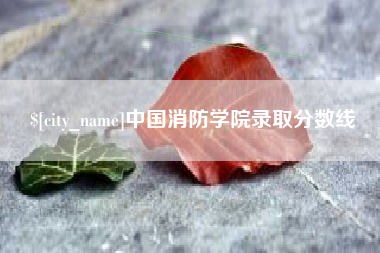 凉山中国消防学院录取分数线