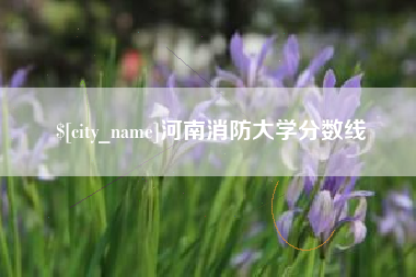 凉山河南消防大学分数线