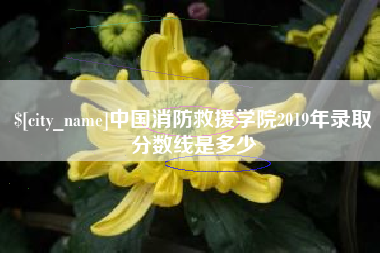 凉山中国消防救援学院2019年录取分数线是多少