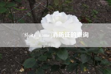 凉山消防证的查询