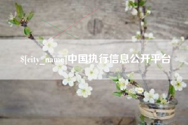 凉山中国执行信息公开平台