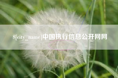 凉山中国执行信息公开网网