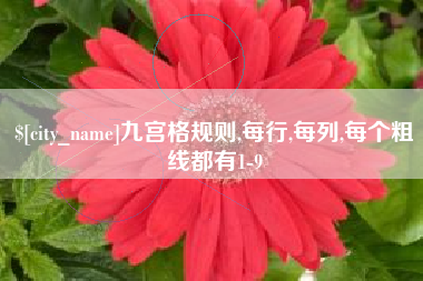 凉山九宫格规则,每行,每列,每个粗线都有1-9