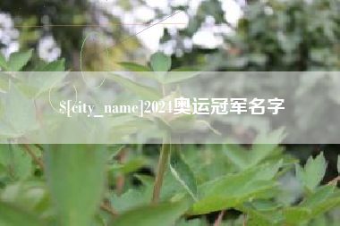 凉山2024奥运冠军名字