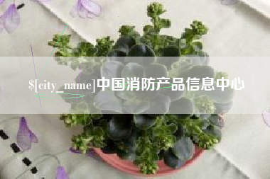 凉山中国消防产品信息中心