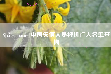 凉山中国失信人员被执行人名单查询