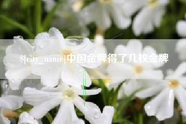 凉山中国金牌得了几枚金牌
