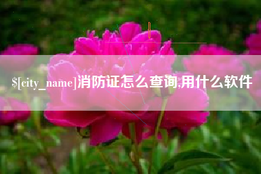 凉山消防证怎么查询,用什么软件