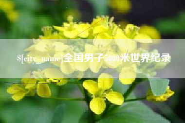 凉山全国男子5000米世界纪录