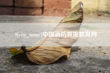 凉山中国消防救援教育网