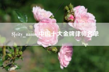 凉山中国十大金牌律师名单