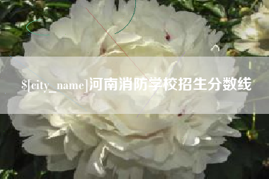 凉山河南消防学校招生分数线