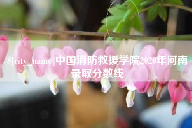 凉山中国消防救援学院2020年河南录取分数线