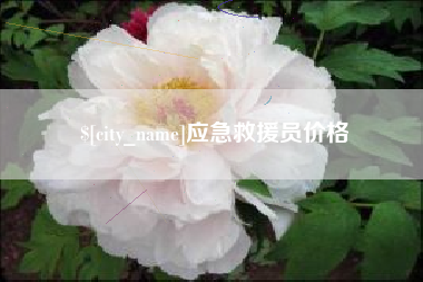 凉山应急救援员价格