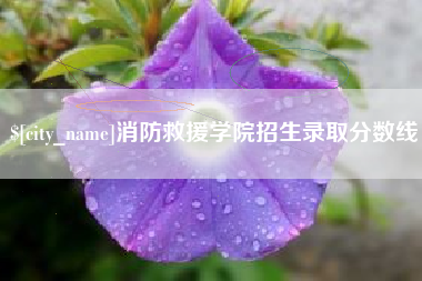 凉山消防救援学院招生录取分数线
