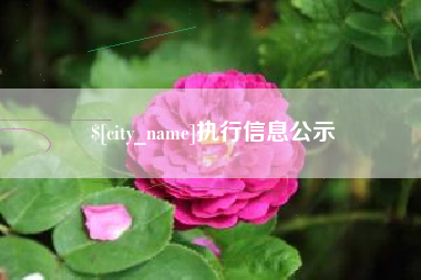 凉山执行信息公示