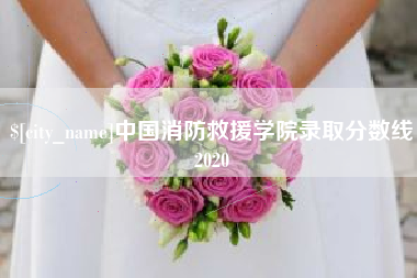 凉山中国消防救援学院录取分数线2020