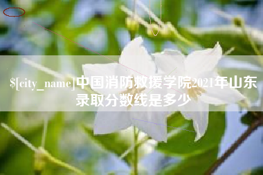 凉山中国消防救援学院2021年山东录取分数线是多少