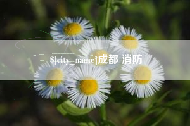 凉山成都 消防