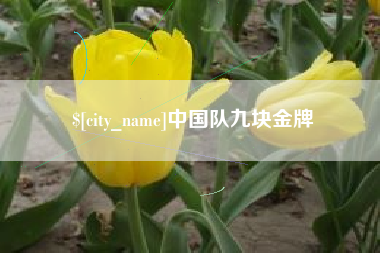 凉山中国队九块金牌