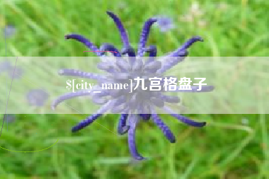 凉山九宫格盘子
