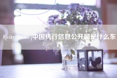 凉山中国执行信息公开网是什么东西