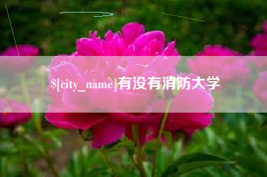 凉山有没有消防大学