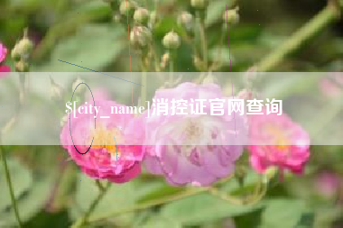 凉山消控证官网查询