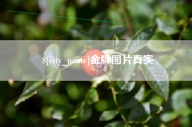 凉山金牌图片真实