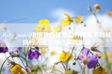 凉山中国执行信息公开网查不到被执行人是不是已解除限高