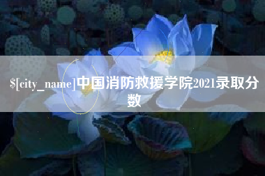 凉山中国消防救援学院2021录取分数