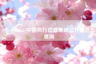 凉山中国执行信息查询公开网怎么查询
