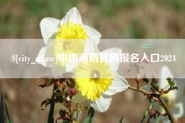 凉山中国消防官网报名入口2024