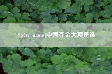 凉山中国夺金大项是谁