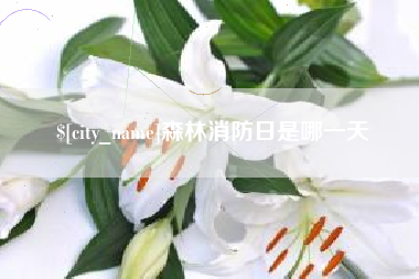 凉山森林消防日是哪一天