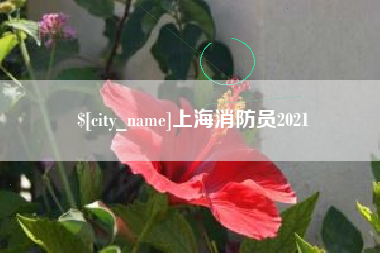 凉山上海消防员2021