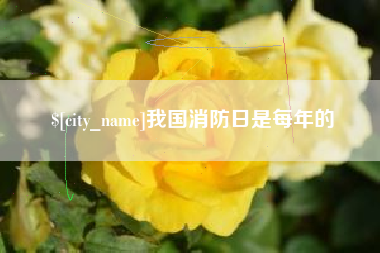 凉山我国消防日是每年的