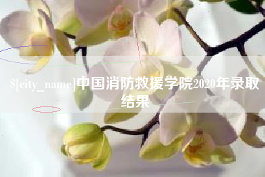 凉山中国消防救援学院2020年录取结果