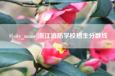 凉山浙江消防学校招生分数线