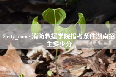 凉山消防救援学院报考条件湖南招生多少分