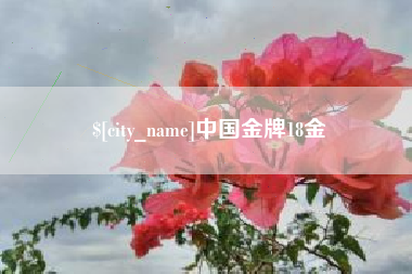 凉山中国金牌18金