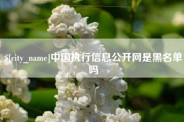 凉山中国执行信息公开网是黑名单吗