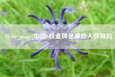 凉山中国6枚金牌是哪些人获得的
