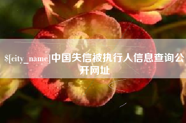 凉山中国失信被执行人信息查询公开网址