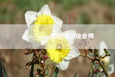 凉山奥运会39块金牌