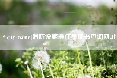 凉山消防设施操作员证书查询网址