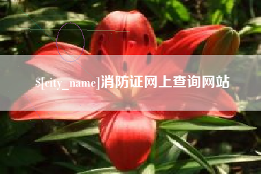 凉山消防证网上查询网站
