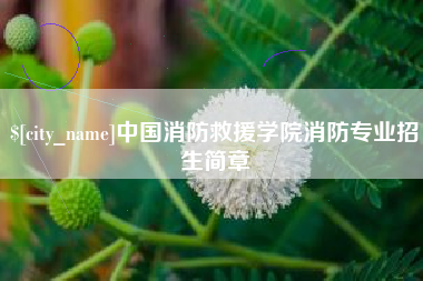 凉山中国消防救援学院消防专业招生简章